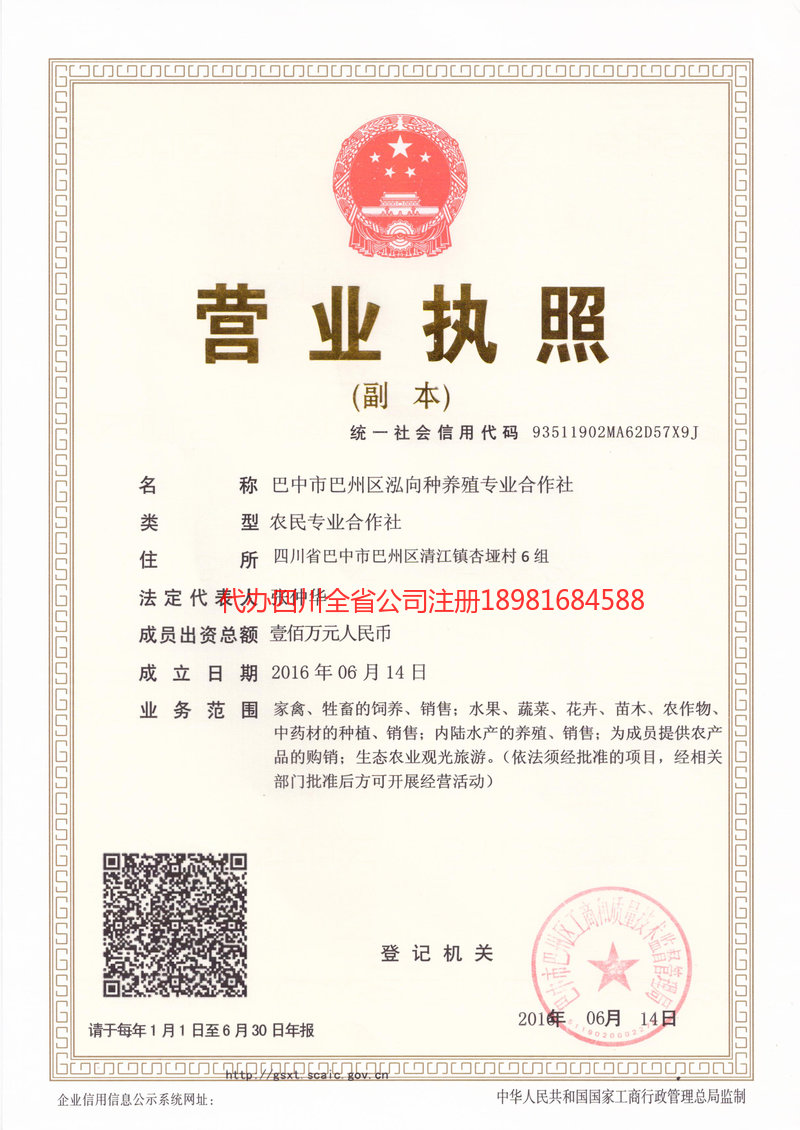 安达安达泓向种养殖专业合作社